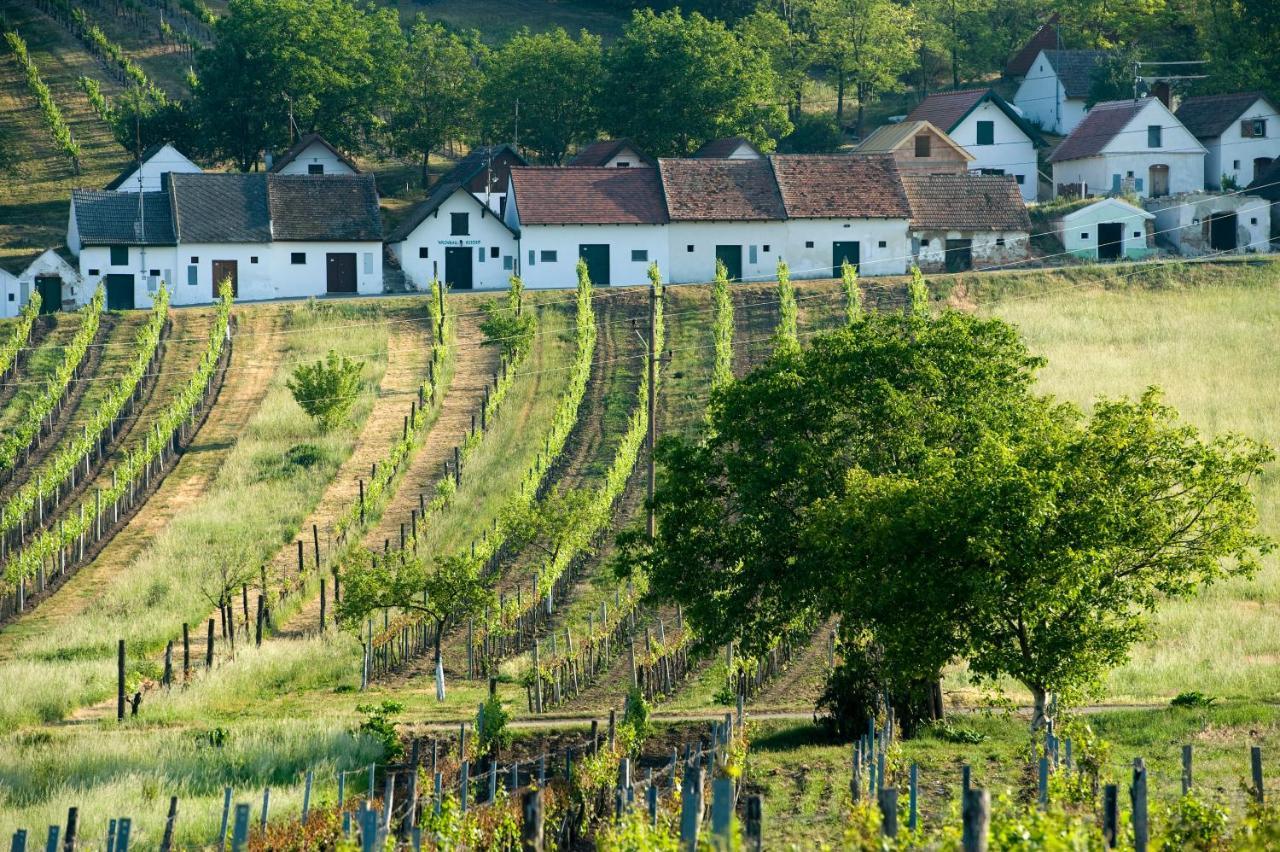 Weinhotel Rieder Пойсдорф Екстер'єр фото